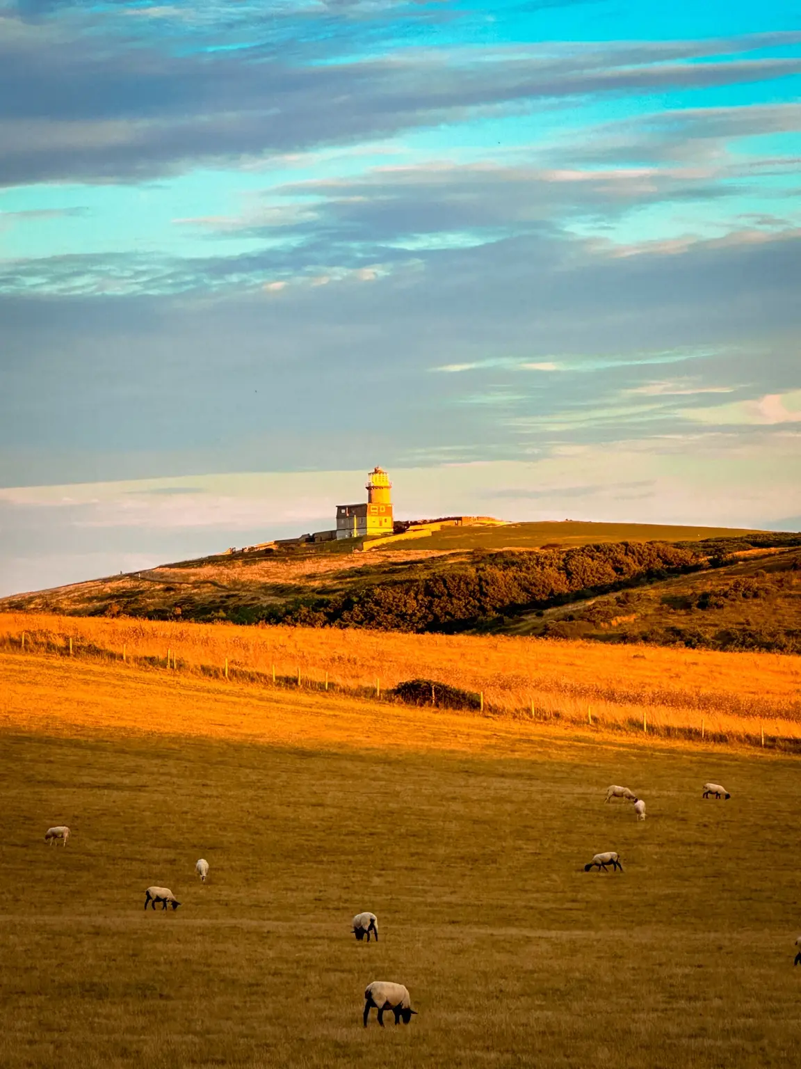 Lighthouse above a pastoral field with grazing sheep