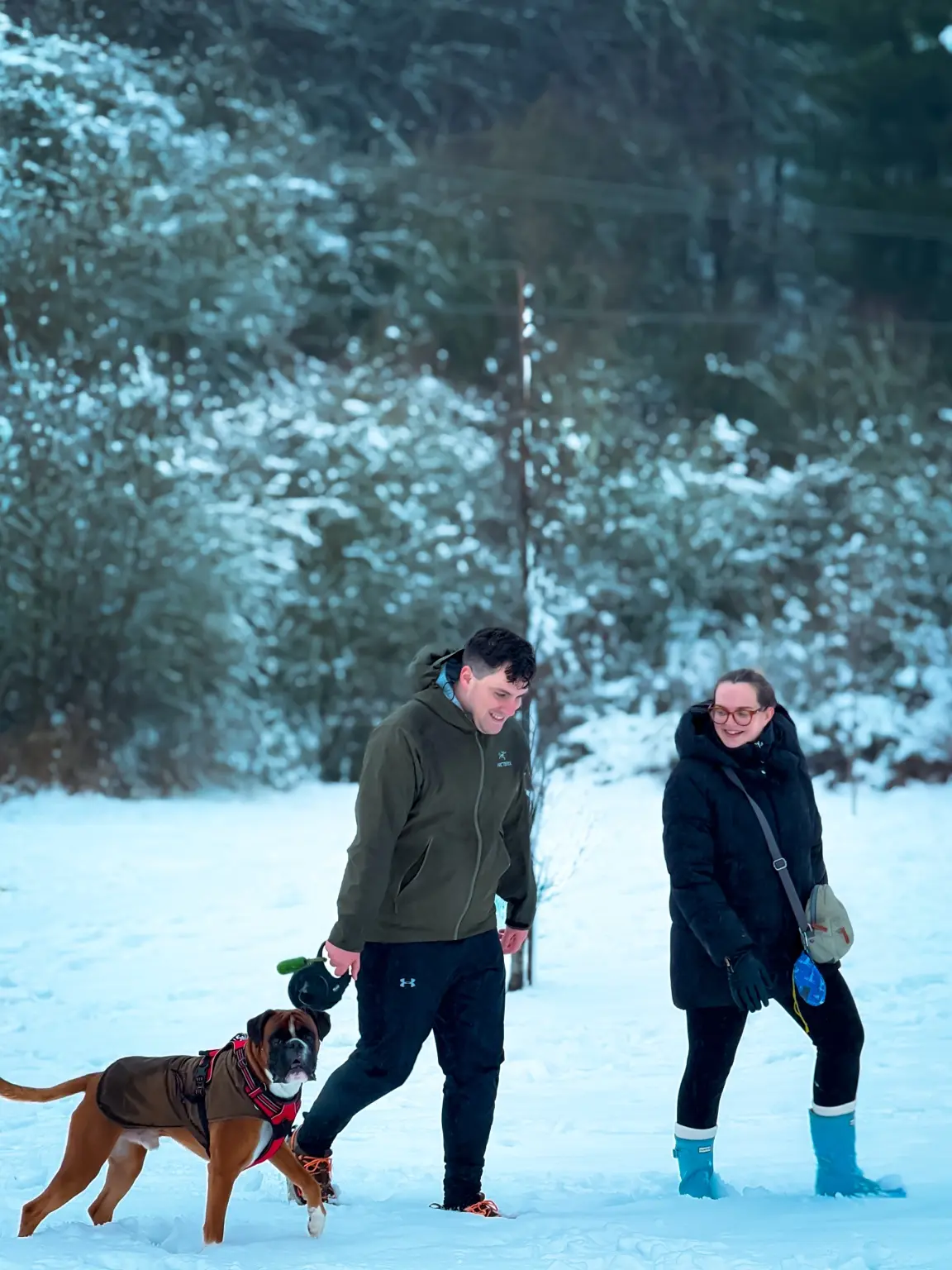 Couple walking a boxer dog through snow